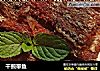 干煎带鱼的做法