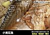 小黄花鱼的做法
