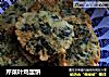 芹菜叶鸡蛋饼的做法