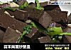 蒜末茼蒿炒猪血的做法