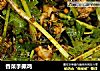 香菜手撕鸡的做法