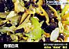 香螺白菜的做法