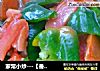 家常小炒---【番茄青椒片】的做法