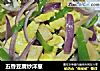五香豆腐炒洋葱的做法