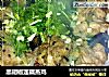 黑胡椒莲藕蒸鸡的做法