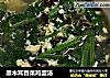 黑木耳香菜鸡蛋汤的做法