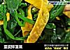 蛋皮拌菠菜的做法