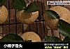 小橘子馒头的做法