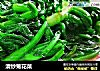 清炒菊花菜的做法