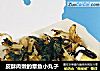 皮酥肉嫩的章鱼小丸子的做法