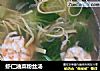 虾仁油菜粉丝汤的做法