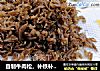 自制牛肉松，补铁补蛋白小零食，适合10个月宝贝生鲜【小鹿优鲜】的做法