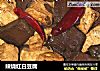 辣烧红白豆腐的做法