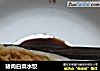 猪肉白菜水饺的做法
