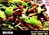 素炒鸡杂的做法
