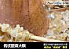 传统酸菜火锅的做法