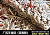 广式芋丝糕（简易版）的做法