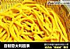 自制意大利面条的做法