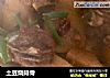 土豆烧排骨的做法