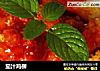 茄汁鸡柳的做法