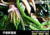 千张拌菠菜的做法