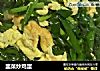 韭菜炒鸡蛋的做法