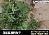 白菜豆腐炖丸子的做法