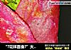 “?花样面食?”火龙果鸡蛋饼的做法
