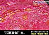 “?花样面食?”火龙果油饼的做法