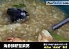 海参鲜虾菠菜粥的做法