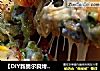 【DIY新奥尔良烤肉披萨】—“菠萝烤鸭厚匹萨”的做法