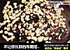 不让你长胖的布朗尼（无油无糖少碳水版）的做法