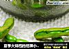夏季大排档的招牌小菜---五香毛豆的做法