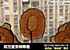 梨膏麦芽棒棒糖的做法