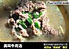 美味牛肉汤的做法