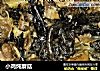 小鸡炖蘑菇的做法