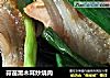 蒜苗黑木耳炒烧肉的做法