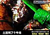 土豆炖了个牛排的做法