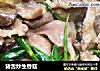 猪舌炒生香菇的做法
