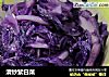 清炒紫白菜的做法