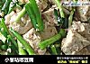 小葱咕嘟豆腐的做法