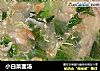 小白菜面汤的做法