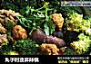 丸子时蔬麻辣锅的做法