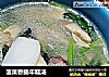 菠菜香肠年糕汤的做法
