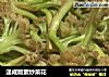 速成版素炒菜花的做法