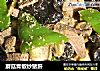 蘑菇青椒炒猪肝的做法