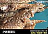 小黄鱼罐头的做法