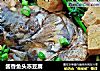 酱香鱼头冻豆腐的做法