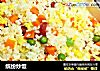 缤纷炒饭的做法