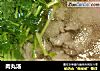 肉丸汤的做法
